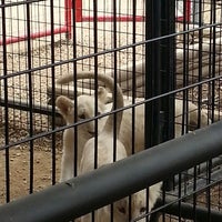 Animal World and Snake Farm - New Braunfels, TX
