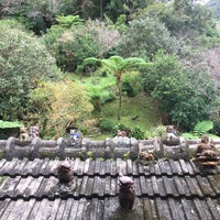 やちむん喫茶 シーサー園 Cafe In 国頭郡 やちむん喫茶 シーサー園 Cafe In 国頭郡