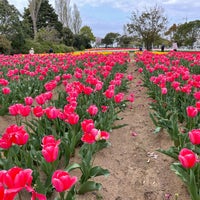 Photo taken at 和田公園 by DAI R. on 4/3/2021