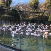 Photo taken at Flamingo by 鶴 ラ. on 1/9/2020