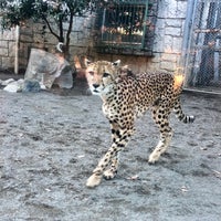 Photo taken at Cheetah by 鶴 ラ. on 1/9/2020