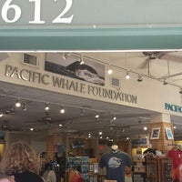 Foto tirada no(a) Pacific Whale Foundation por Brian F. em 3/12/2016