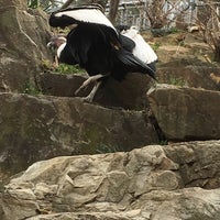 Photo taken at Brandywine Zoo by Cesaring on 3/23/2016