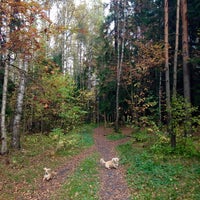Photo taken at шуваловский парк шашлыки-башлыки by Леночек С. on 10/4/2014