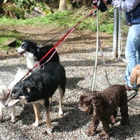 Photo taken at Fetch! Pet Care of Seattle by Tamara B. on 10/13/2012