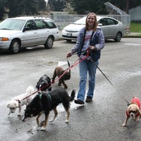 Foto scattata a Fetch! Pet Care of Seattle da Tamara B. il 10/13/2012