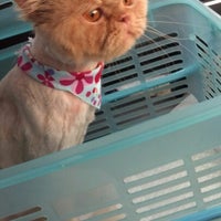 Photo taken at Dog Like Grooming &amp;amp; Pet Shop by Birthe P. on 10/27/2012