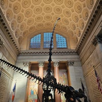 Photo taken at American Museum of Natural History Museum Shop by sudheer v. on 1/5/2024