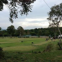 スポーツの森 マーガレットリフレクパーク Marguerite Ref Recpark 北佐久郡立科町の運動 スポーツ スポーツの森 マーガレットリフレクパーク Marguerite Ref Recpark 北佐久郡立科町の運動 スポーツ