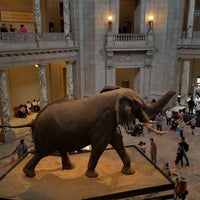 Photo taken at Henry The Elephant by Jessi R. on 4/21/2019