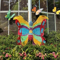 Photo taken at Bangkok Butterfly Garden and Insectarium by ชอ K. on 7/15/2023