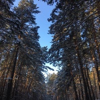Photo taken at Заельцовский парк by Alexey V. on 12/1/2019