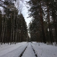 Photo taken at Дендрологический парк by Alexey V. on 11/22/2020