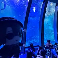 Photo taken at Aqua Museum by May 0. on 11/26/2023