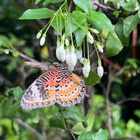 Photo taken at Butterfly Garden by Godwin S. on 10/14/2023