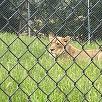 Das Foto wurde bei Wildlife Safari von Kat am 7/3/2020 aufgenommen