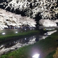 Photo taken at 野川桜ライトアップ by Yayoi H. on 3/30/2018