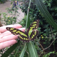 รูปภาพถ่ายที่ Mariposario de Benalmádena - Benalmadena Butterfly Park โดย Krishna N. เมื่อ 9/29/2013