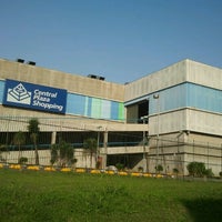 pink calçados central plaza