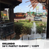 11/5/2014にSaeedがTaverna Yamas Orlandoで撮った写真