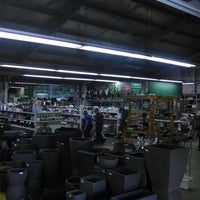 Green Arrow Nursery North Hills East 4 Tips From 160 Green Arrow Nursery North Hills East 4 Tips From 160