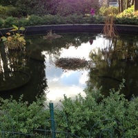 Photo taken at Volunteer Park Lily Ponds by Kerry M. on 11/25/2012