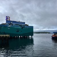 Photo taken at Victoria Clipper by Kerry M. on 4/23/2020