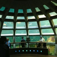 Seattle Aquarium Pike Placeの水族館 Seattle Aquarium Pike Placeの水族館