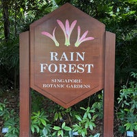 Photo taken at The Rain Forest by Grace on 8/14/2021