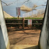 小畔水鳥の郷公園 Park In 川越市