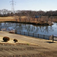 小畔水鳥の郷公園 Park In 川越市