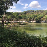 Photo taken at Villa Ada by Marco L. on 9/23/2017