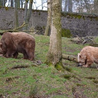 Das Foto wurde bei Dartmoor Zoological Park von Nick T. am 2/27/2014 aufgenommen