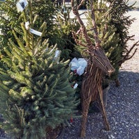 Mostardi S Nursery Newtown Square Pa Photo Taken At Mostardi 39 S Nursery By Sarah D On 11