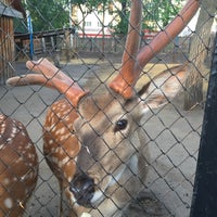 Photo taken at Зоопарк by Yuliya C. on 6/16/2016