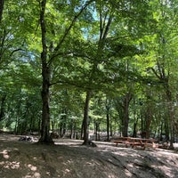 Foto scattata a Belgrad Ormanı da Betül A. il 8/2/2022