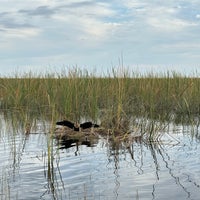 Снимок сделан в Sawgrass Recreation Park пользователем Allison N. 12/4/2023