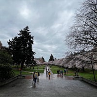 Photo taken at UW Quad by Claude on 3/22/2024