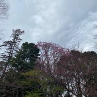 Photo taken at 経堂五丁目特別保護区 by Sanzou G. on 3/19/2022