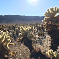 Photo taken at Joshua Tree National Park by Ben H. on 12/18/2016