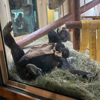 Photo taken at Cheyenne Mountain Zoo by Mark C. on 8/2/2021