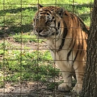 Photo taken at Big Cat Rescue by Nick K. on 2/10/2018