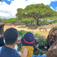 Photo taken at Honolulu Zoo by Christina on 8/29/2023
