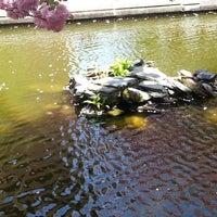 Photo taken at Brooklyn College Lily Pond by Raquelinda M. on 4/30/2013