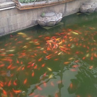 Photo taken at Yu Garden by 🏄 Anton on 4/30/2015