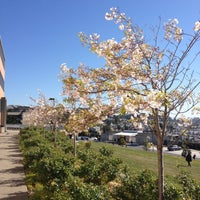 Photo taken at City College: Science Hall by Tracy S. on 4/18/2013