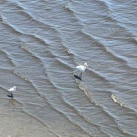 Photo taken at 船堀橋 by Jasper on 7/29/2023