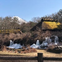 西湖野鳥の森公園 4 Tips