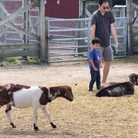 Das Foto wurde bei Lambs Farm von Jeanne am 8/31/2019 aufgenommen