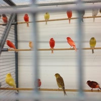 The Bird Shop 5553 Auburn Blvd